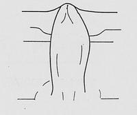 tekening - r-gra-59 - H 107 O.FL / OH 107-2