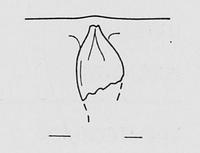 tekening - r-kop-2 - H 107 O.FL / OH 107-3
