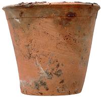 foto - r-blo-29 - APPL4 V388-32
