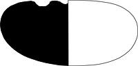 tekening - gl-stg-1 - NZR2.00599GLS004