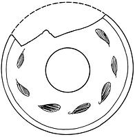 tekening - gl-taz-1 - Nym91-Ei 258