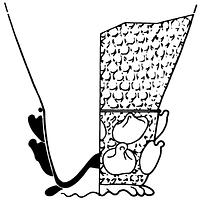 tekening - gl-ber-1 - Nym91-Ei 32
