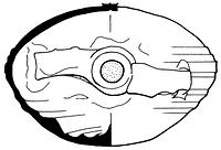 tekening - s2-vel-1 - Nym91-Ei 70