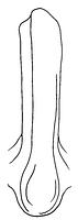 tekening - r-kan-27 - Oth96