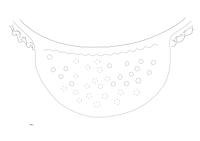 tekening - r-kom-12 - 300-1