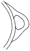tekening - r-kop-11 - Oth96