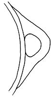 tekening - r-kop-73 - Oth96