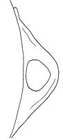 tekening - r-lek-1 - Oth96