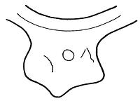 tekening - w-kop-8 - Sis99-Ddt99-111 22