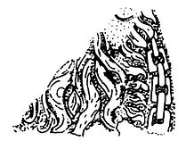 tekening - s2-kan - Alk97-93LAN-BP5B AA