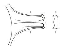 tekening - r-bak-2 - DBLO.01365KERe0047