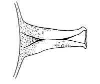 tekening - r-bak-29 - Sis99-Ddt99-117 27