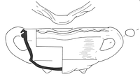 tekening - r-kom-149 - DBLO.02726KERe0001