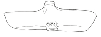 tekening - r-vet - DBPK.00677e0017