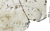 foto - iw-bor-4 - Ht3.16.66