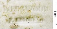 foto - iw-bor-5 - Ht3.16.65