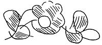 tekening - s3-kop-3 - Sis99-Ddt99-160 34