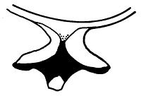 tekening - w-kop-25 - Sis99-Ddt99-168 182