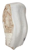 foto - iw-kom-8 - NZR2.00438CER044