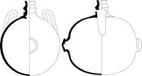 tekening - ib-vel-1 - NZD1.00072CER237