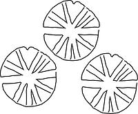 tekening - r-gra-48 - NZR2.00253CER333