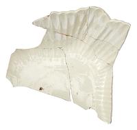 foto - iw-sch-12 - NZR2.00257CER116