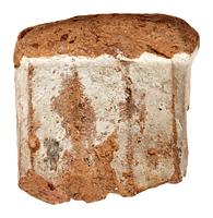 foto - te-bee - NZD1.00072KSC004