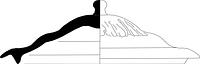 tekening - iw-dek-10 - NZR2.00525CER189