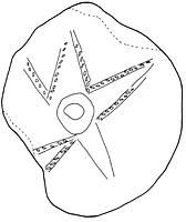 tekening - r-dov-1 - Sis99-Dev99-5 39