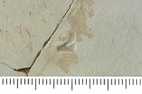 foto - iw-bor-4 - NF.00017CER038