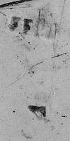foto - iw-bor-2 - Sis99-Nym99-200 44