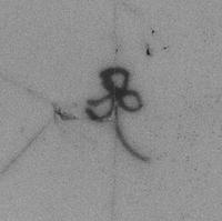 foto - ep-bor-1 - Sis99-Nym99-200 86