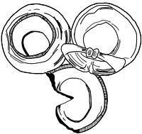 tekening - ep-taf-1 - Sis99-Nym99-224 331