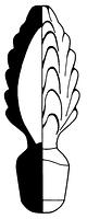 tekening - gl-stp-2 - Sis99-Nym99-247 48