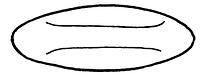tekening - gl-fle-75 - Sis99-Tl99-310 8