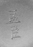 foto - ir-the-5 - Sis99-Tl99-313 16