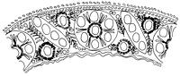 tekening - gl-bek-6a - Sis99-Tl99-313 133