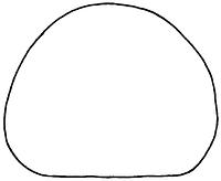 tekening - r-vog-1 - Sis99-Tl99-313 385
