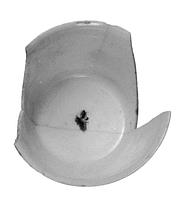 foto - p-kop-1 - Sis99-Tl99-313 44