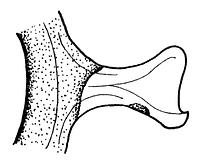 tekening - r-gra-66 - Zwo01-c73-167