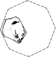 tekening - f-bor-22 - STK2536 12