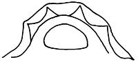 tekening - r-kop-38 - Zwo01-Eil96-17-4 185