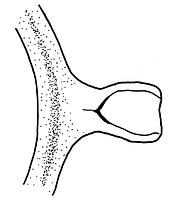 tekening - r-gra-44 - Zwo01-c73