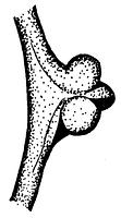 tekening - r-kom-37 - Zwo01-c73-5