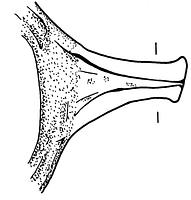 tekening - r-stk-5 - Zwo01-c73