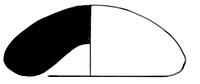 tekening - gl-stg-1 - ALBM-05 - 177-1