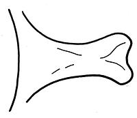 tekening - w-kan-10 - BP