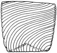Afbeelding object 97alk2 - 271 - Alk97-93LAN-BP1+-1