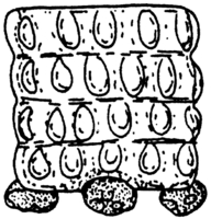 Afbeelding object 97alk2 - 382 - Alk97-93LAN-BP2-42