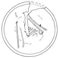 Afbeelding object 98alk3 - 108 - Alk98-91WOR-19-1